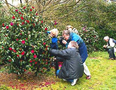 Exbury Garden