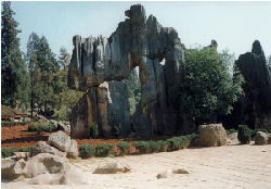 steinernen Wald