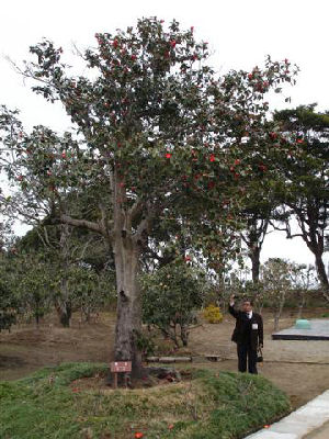 Kodomo-no-kuni Park (Childrens Country)