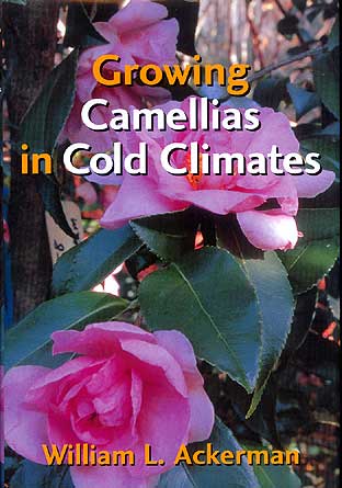 Growing Camellias in Cold Climates